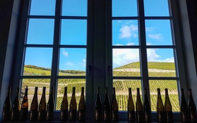 Création de site internet pour le vin